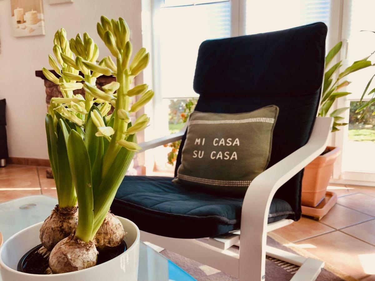 Apartment Casa Del Monte Синшайм Екстериор снимка